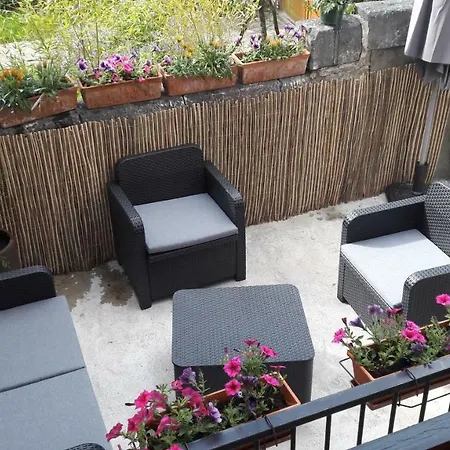 Le Gite Le Camelia Saint-Aignan  Exterior photo